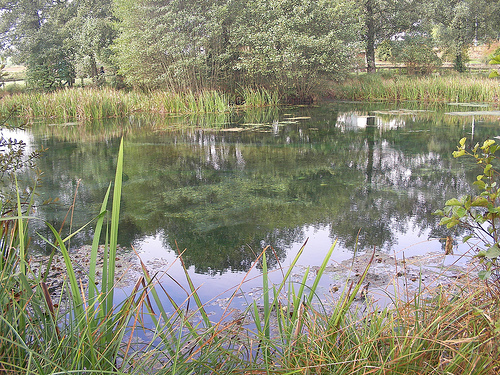 Laguna de Fonmiña Laguna de Fonmiña