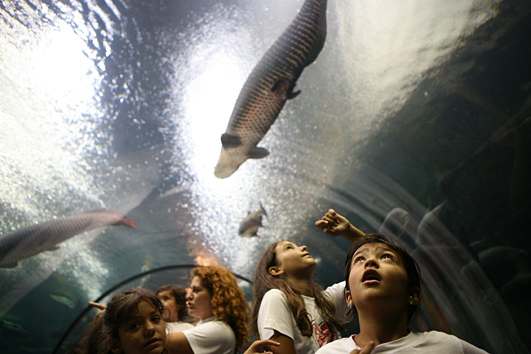 Acuario en el Lago Acuario en el Lago