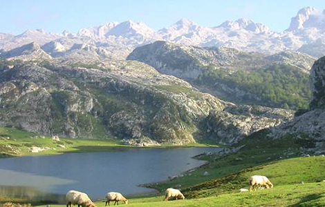 Parque Nacional de los Picos de Europa