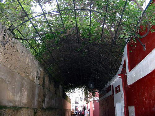 Callejón del Agua Callejón del Agua