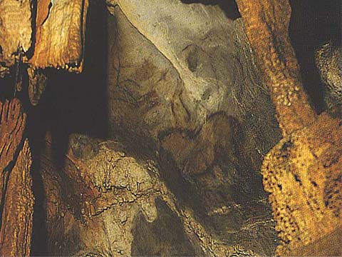 Camarín de la Cueva de Candamo Camarin de la Cueva de Candamo