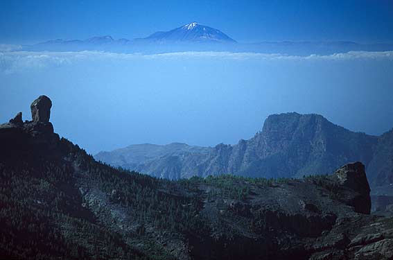 Pozo de las Nieves