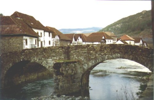 Ochagavia Ochagavia
