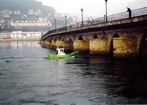 Viveiro Viveiro