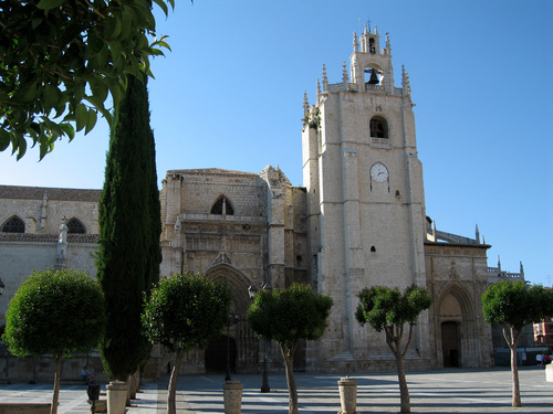 Catedral de Palencia