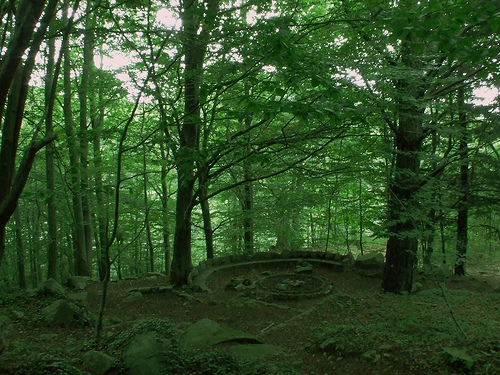 El Parque Natural del Montseny en Gerona