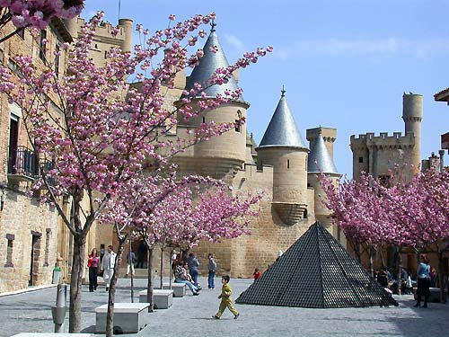 Castillo de Olite