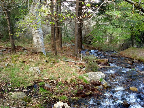 Parque Natural de la Dehesa del Moncayo en Tarazona