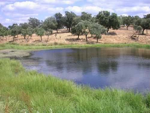 Parque Natural Sierra de Cardeña y Montoro en Cordoba