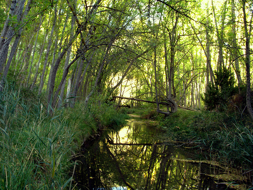 Parque Natural del Barranco del Río Dulce en Guadalajara
