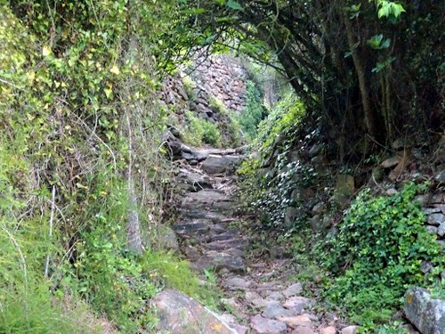 Ruta del Bosque de Pomes en Asturia