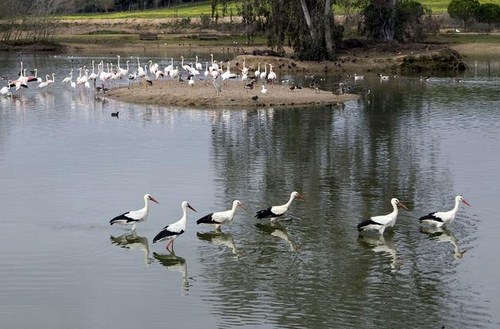 Reserva Natural la Cañada de los Pajaros en Sevilla
