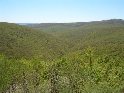 Espacio Natural de Monte Hijedo en Burgos
